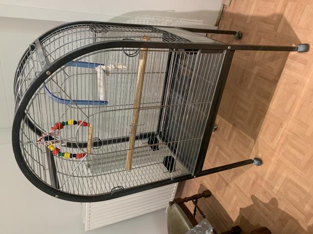 Cage perroquet