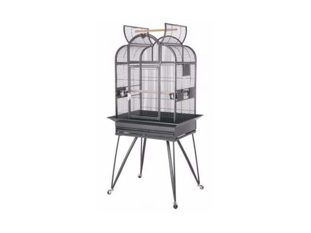 Cage perroquet amazone cage gris du gabon voliere perroquet