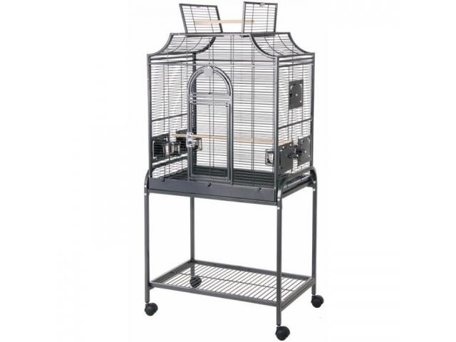Cage perroquet amazone cage gris du gabon voliere perroquet