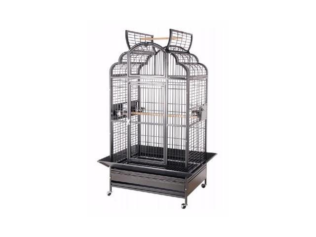 Cage perroquet ara amazone gris du gabon voliere cacatoes