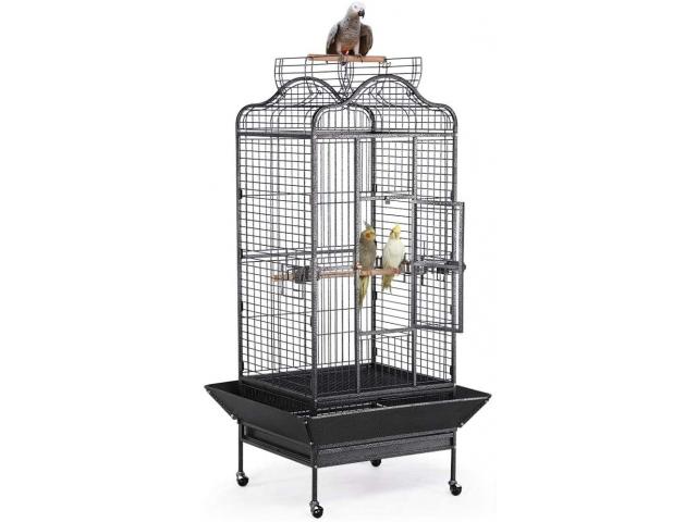 Photo Cage perroquet Malibu cage cacatoes cage gris du gabon cage eclectus cage amazone voliere perroquet  image 1/5