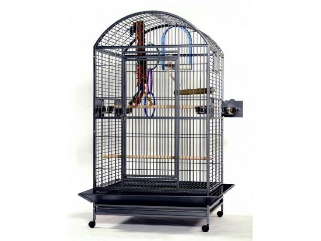 Photo Cage perroquet Play cage ara cage gris du gabon cage perroquet pas cher cage youyou cage amazone image 1/1