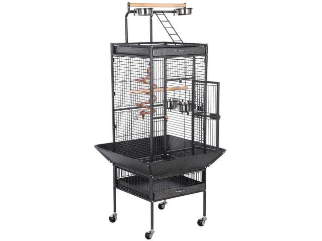 Cage perroquet Santa Monica anthracite cage gris du gabon cage eclectus cage amazone voliere perroqu