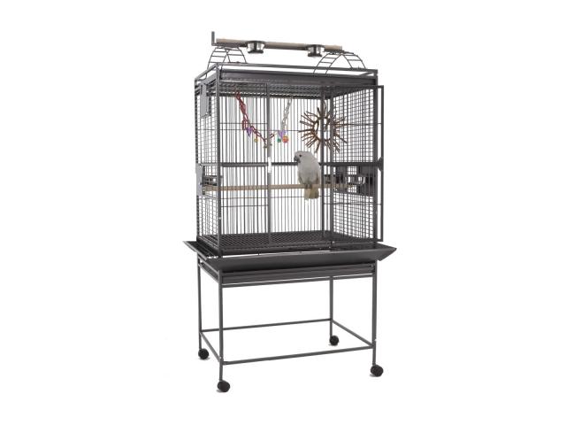 Cage perroquet Tilo cage ara cage gris du gabon voliere amzone cage cacatoes voliere gris du gabon c