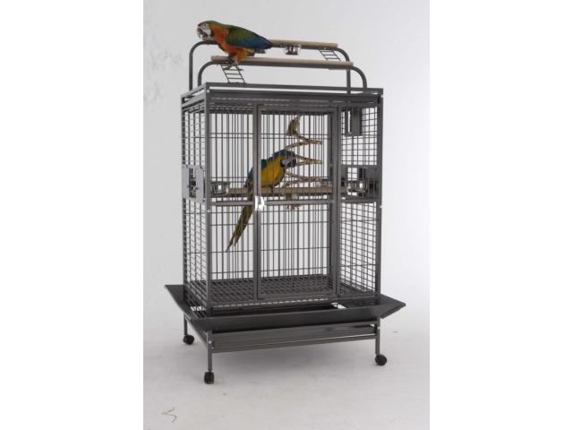 Cage perroquet Utah cage ara cage gris gabon cage perroquet pas cher cage amazone ecelctus cacatoes
