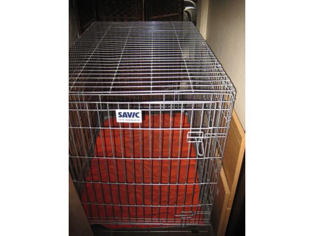 Cage pour chien ou autre animal