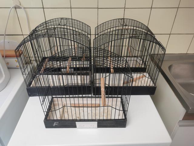 Cages d'exposition