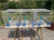 Annonce Cages élevages
