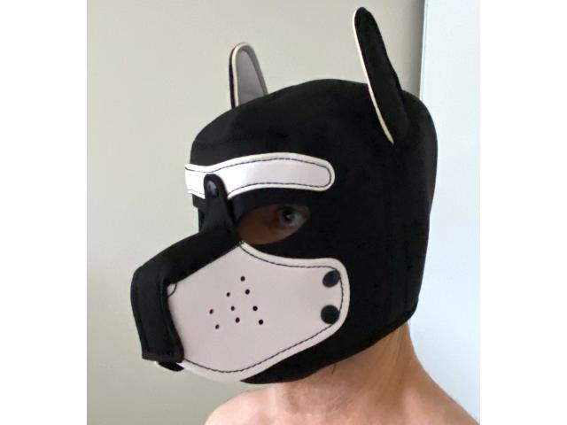 Photo Cagoule masque chien image 1/3