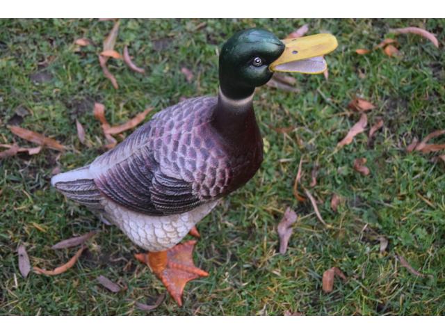 CANARD EN FONTE POLYCHROME (le colvert).