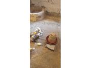 Annonce Canaris blanc huppé ou simple