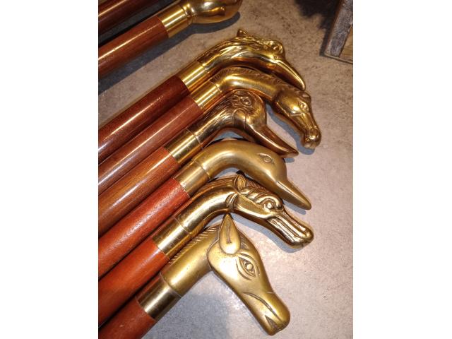 Cannes de collection
