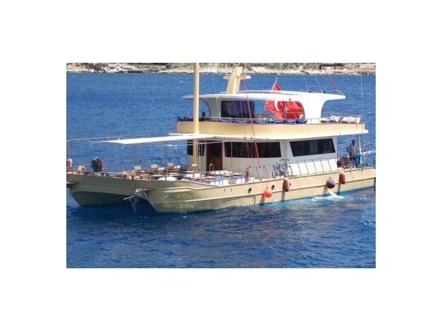Catamaran à moteurs de 20 x 8 m année 2016 pour les excursions Daily