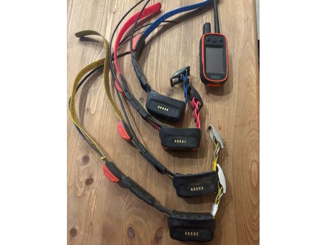 Centrale et colliers garmin