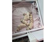 Annonce Chiot golden retriveur