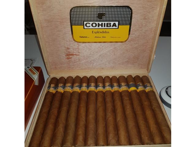 cigare cohiba esplandidos