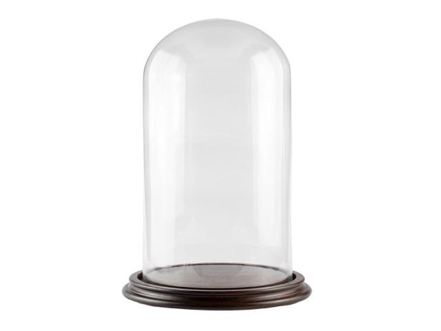 Photo Cloche de verre image 1/1