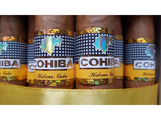 Coffret de 25 cigares cubains Cohiba Robustos