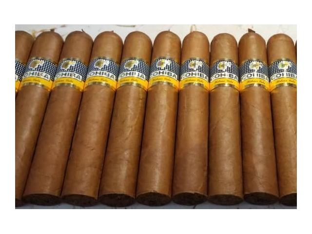 Cohiba Ambar 2022