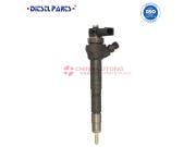 Annonce Common Rail Fuel Injector 0445110541 wholesale price