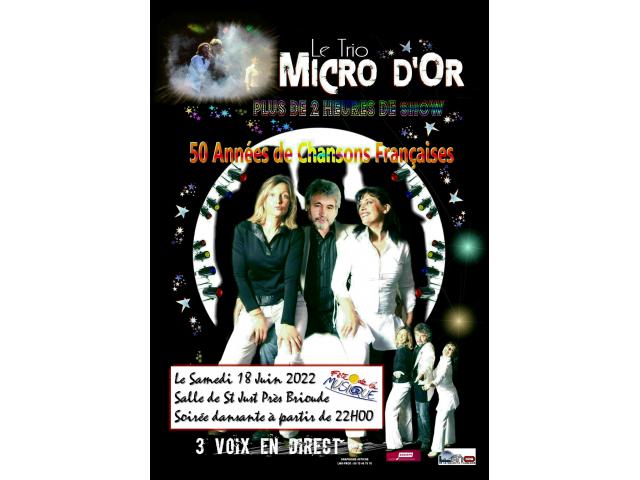 Photo Concert dansant Gratuit chansons francaises Trio Micro d'Or image 1/1