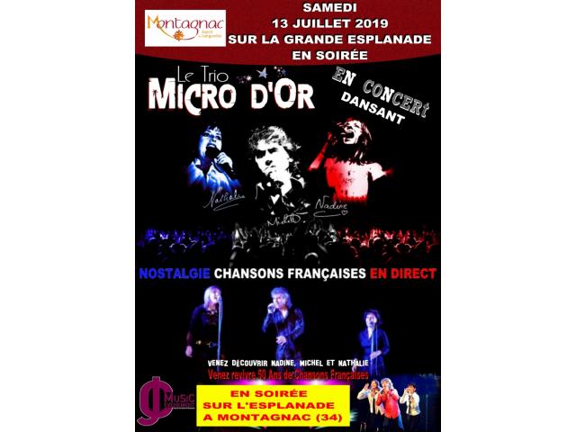 Photo Concert dansant Gratuit chansons francaises Trio Micro d'Or image 1/2