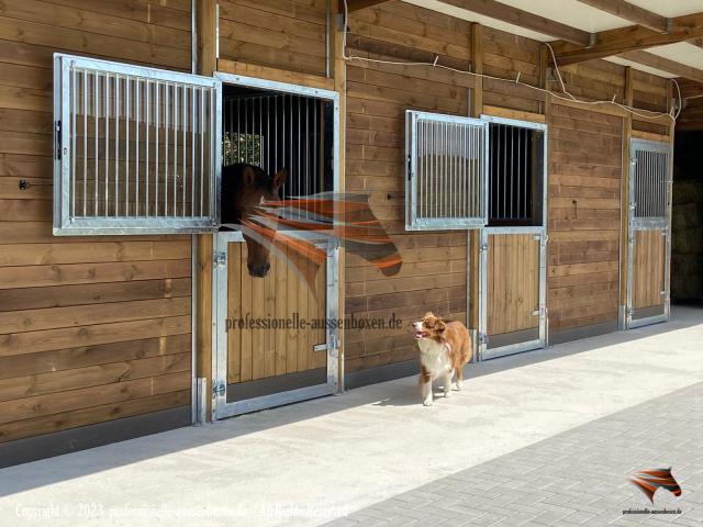Construire Une Écurie, Boxes Extérieurs, Boxes Pour Chevaux, Abris