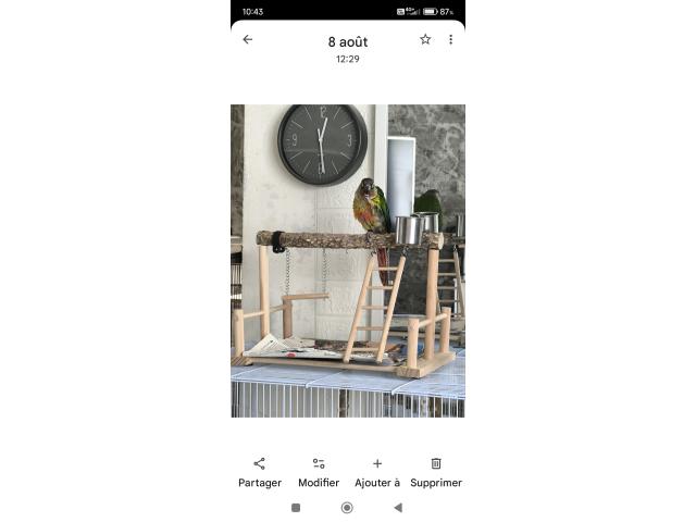 Conure molinea