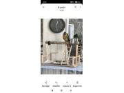 Annonce Conure molinea