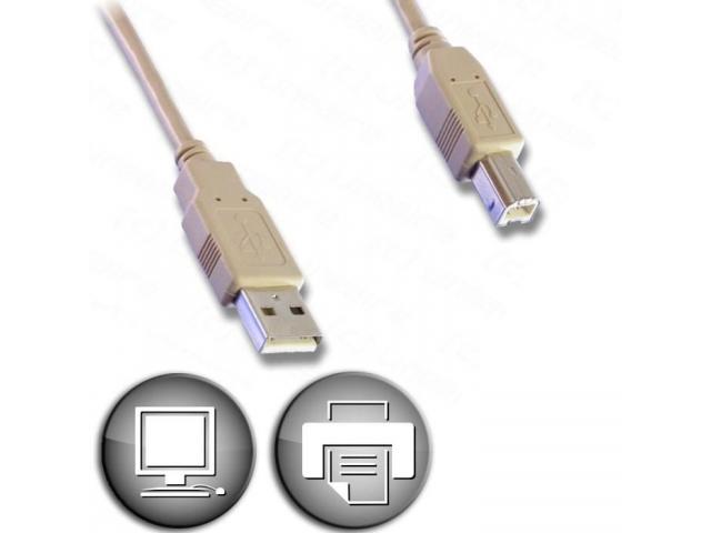 CORDON USB-AB moulé