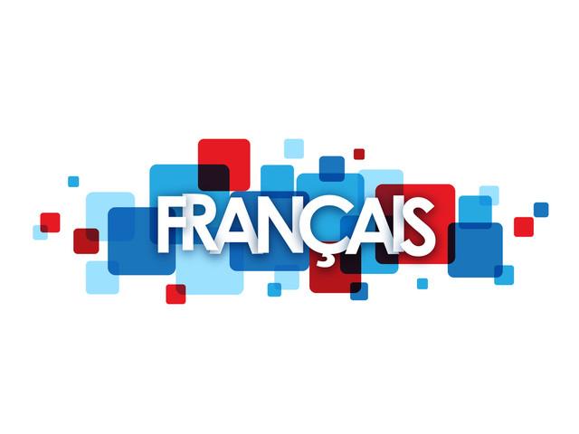 Cours de Français par webcam.