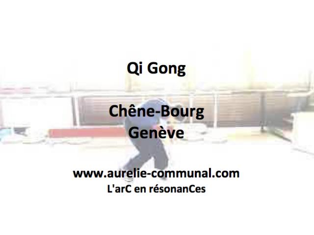 Cours de Qi Gong à Chêne-Bourg, Genève et en visioconférence