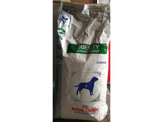 Croquettes chien Royal Canin