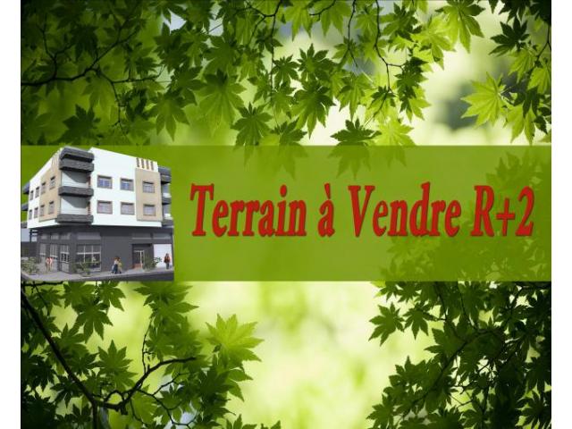 Dans un quartier Calme des Terrains à Vendre