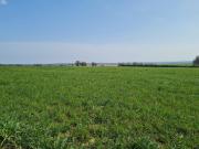Annonce Daverdisse 6929 Haut-Fays : terrain à bâtir, 9a 46ca.