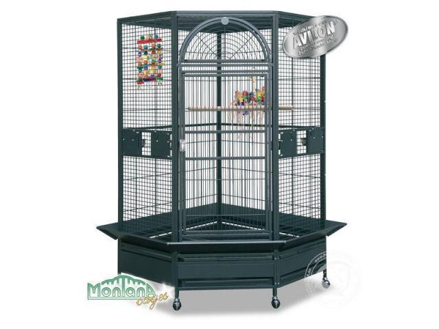 Denver couleur perroquet cage