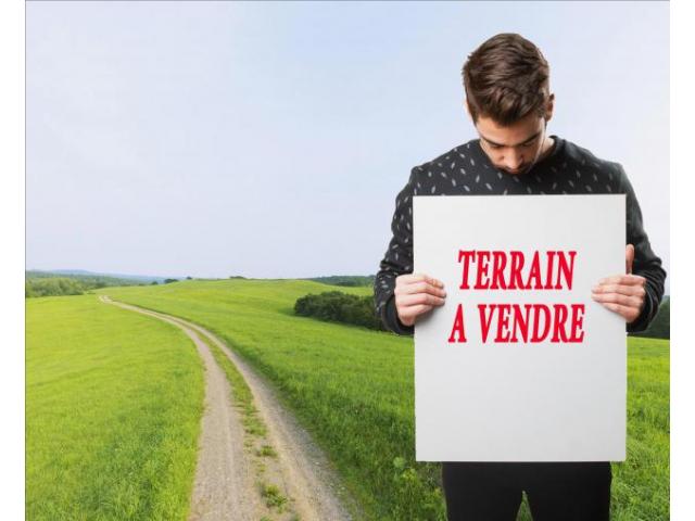 Des terrains à vendre