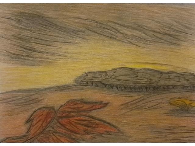 Dessin à vendre