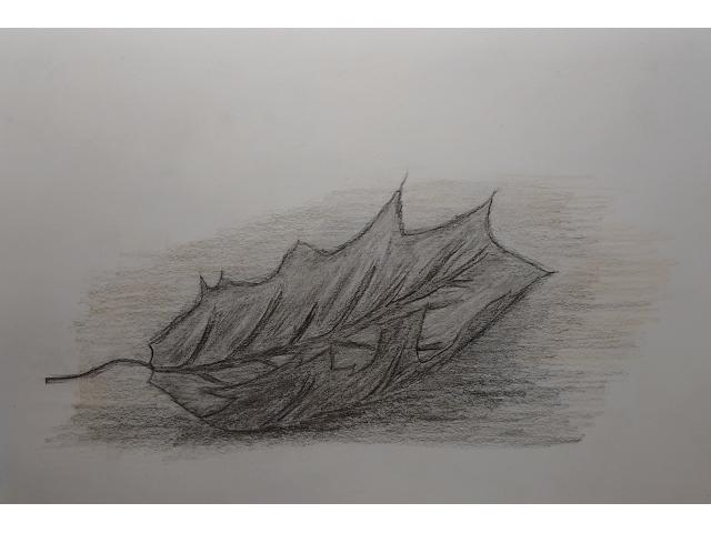 Dessin à vendre