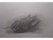 Annonce Dessin à vendre