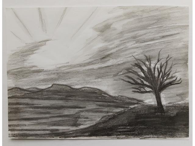 Dessin, paysage à vendre