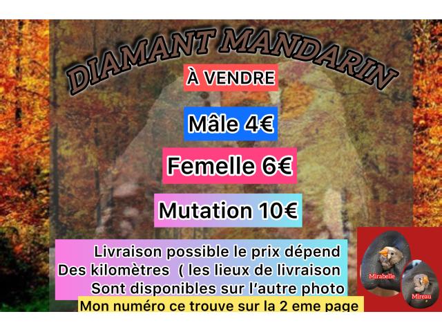 Diamant mandarin