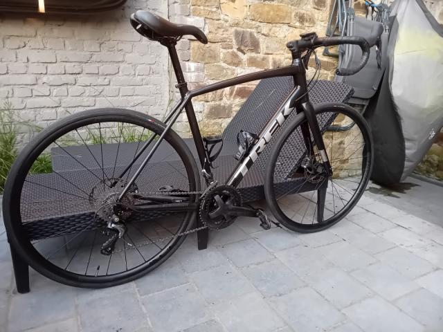 Domane AL 4 2024