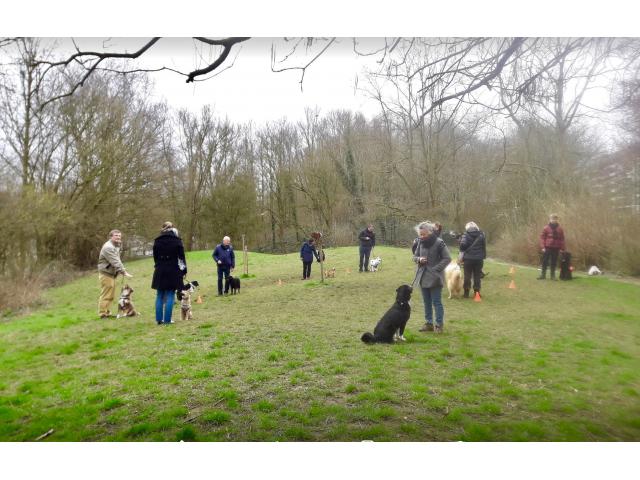 Photo Dressage Éducation  chiens INSCRIPTION Woluwe-Saint-Lambert image 1/6