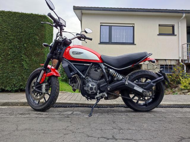 ducati scrambler 800 icon