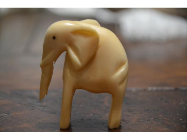 Eléphant en ivoire