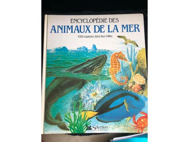 Encyclopedie des animaux de la mer