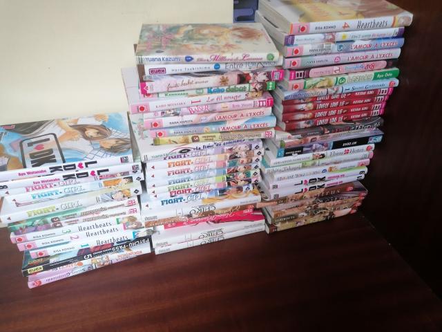 environ 160 manga pour 700 euros