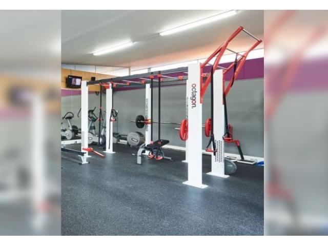 Photo ESCAPE FITNESS OCTAGON RIG image 1/5