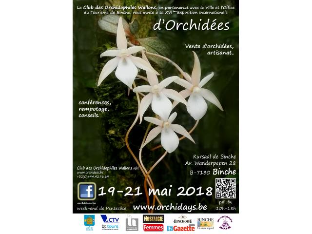 Exposition Internationale d'Orchidées à Binche